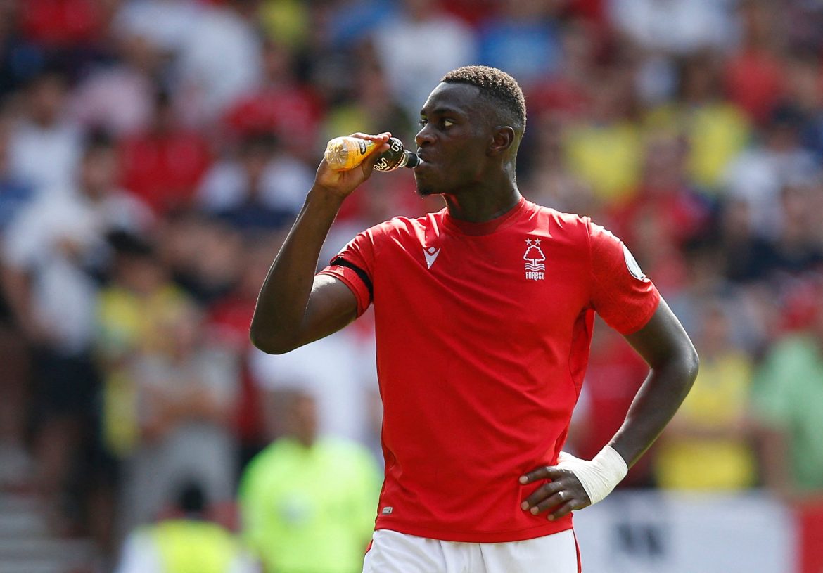 Nottingham Forest face setback on Niakhate